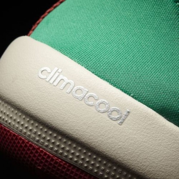 Adidas Terrex Climacool Sleek Boat Femme Core Green/Chalk White/Tactile Pink Chaussures NO: BB1921