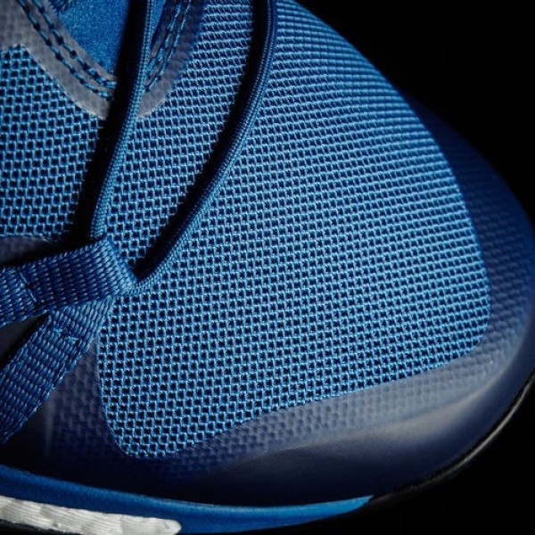 Adidas Terrex Agravic Homme Core Blue/Core Black/Footwear White Chaussures NO: BB6002