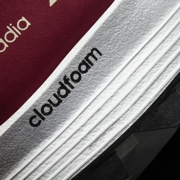 Adidas Kanadia 8 Trail Homme Tactile Orange/Chalk White/Collegiate Burgundy Outdoor Chaussures NO: BB4415