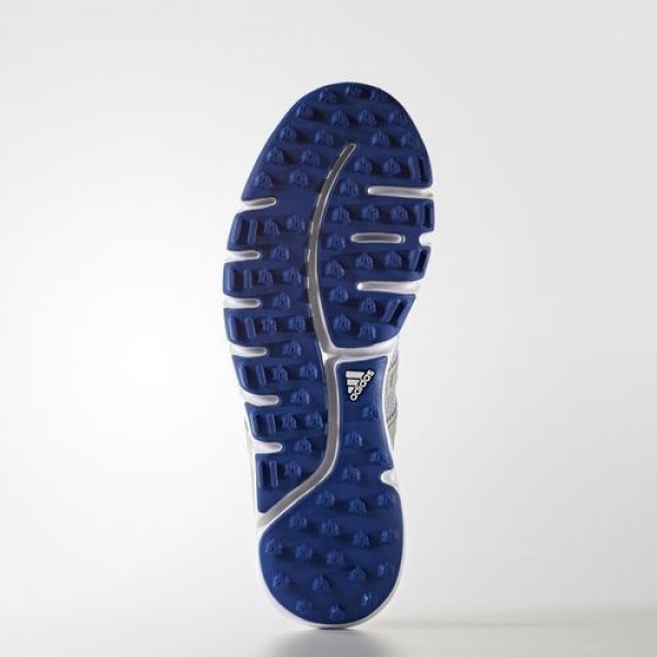 Adidas Climacool St Homme Clear Onix/Collegiate Royal Golf Chaussures NO: F33525